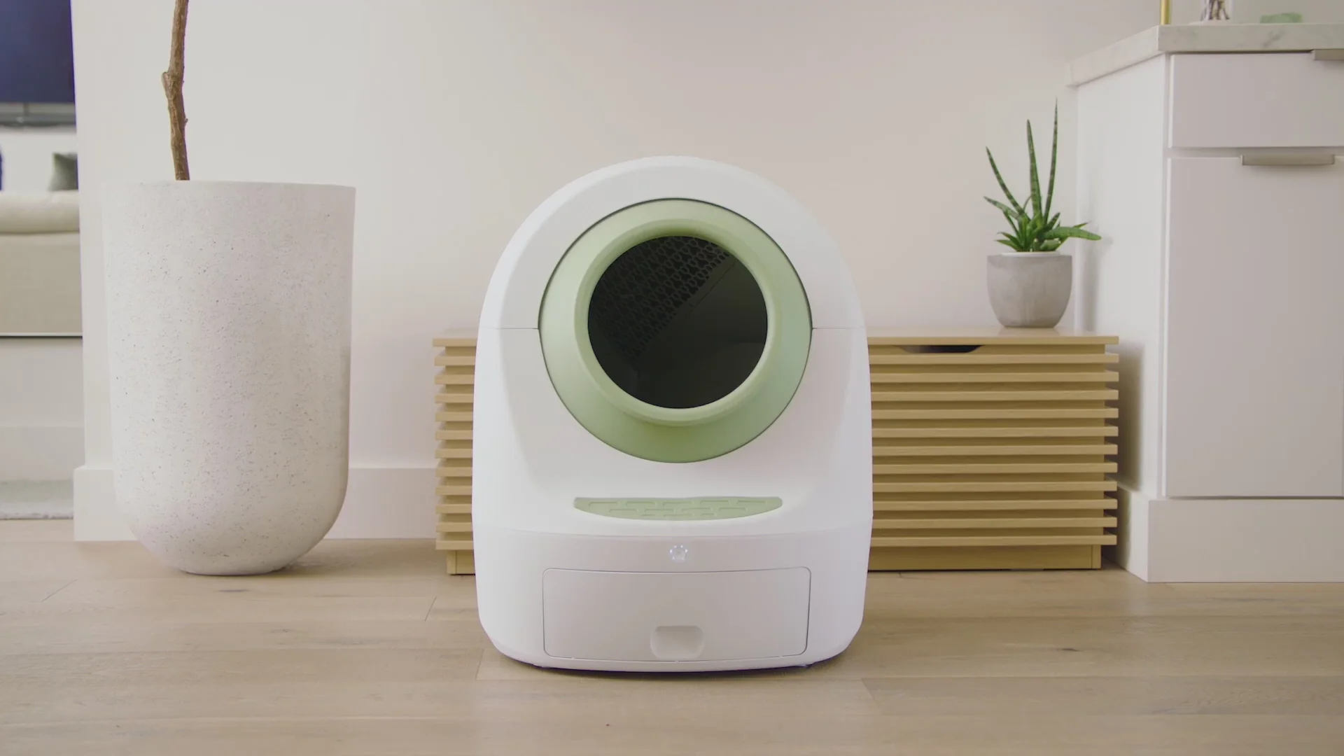 Welcome to Our Store