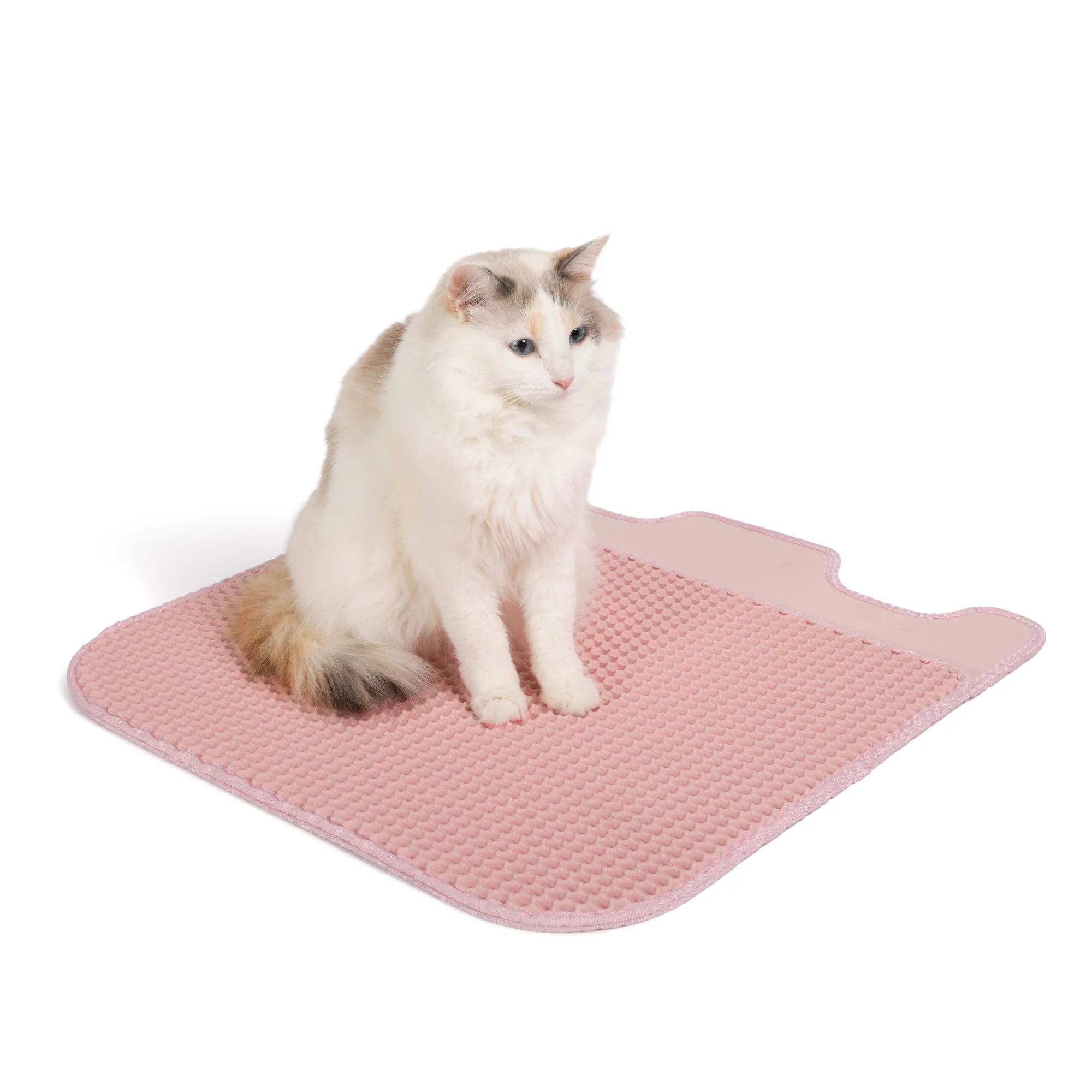 Accessory: Litter Mat (Color Matched) - Image 9